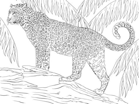 Coloriages Jaguar Imprimable Gratuit Pour Les Enfants Et Les Adultes