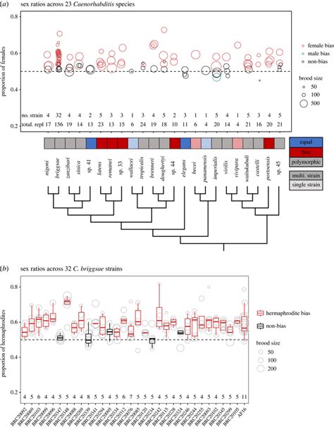 polymorphic sex ratios across 23 caenorhabditis species a the download scientific diagram