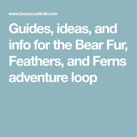 Guides Ideas And Info For The Bear Fur Feathers And Ferns Adventure
