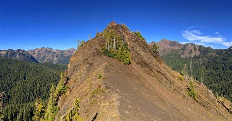 Six Mountains To Climb In Olympic National Parks