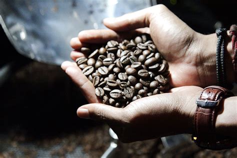 An index is important to measure the performance of investments against a relevant market index. Indonesia to boost share in fast-growing coffee market in ...