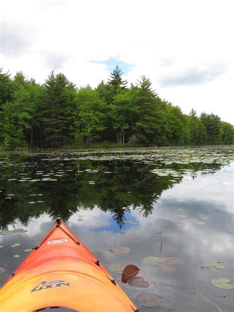 Recreational Kayaking In Maine Wadleigh Pond Wadley Pond Lyman