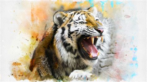 Tiger Splash Art 4k Wallpapers Wallpapers Hd