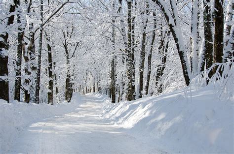 Winding Snowy Road In Winter Photograph By Donna Doherty Fine Art America
