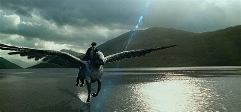 Harry Riding Buckbeak Is One Of The Most Fascinating Moment In The