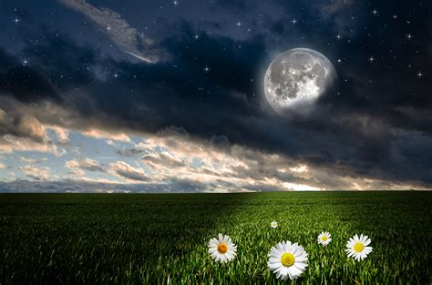 Fondos De Pantalla Fotografía De Paisaje Campos Cielo Matricaria Estrella Noche Luna Nube