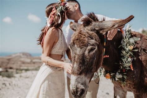 ♥ bei uns findest du vintage brautkleider mit zarter spitze ♥ liebevoll hergestellt in deutschland >. Pin auf Tiere auf der Hochzeit