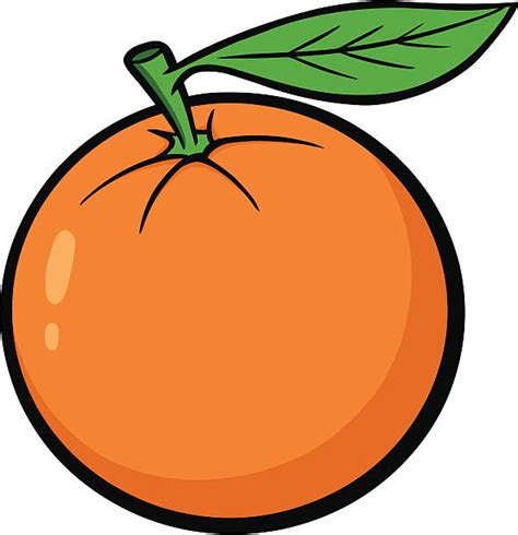Orange Peel Cartoon Illustrations Royalty Free Vector Graphics And Clip