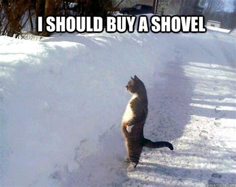 Take The Prodigious Funny Cat Snow Memes Hilarious Pets Pictures