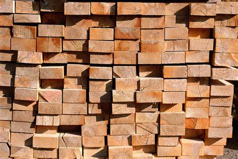 What You Need To Know About Cull Lumber