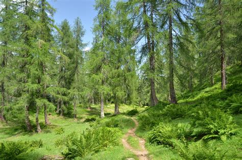 Schüpfheim, in hünenberg, inhaberin mit einzelunterschrift [bisher. Schweiz - Trekking im Cristallino-Gebiet