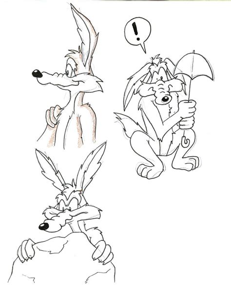 Wile E Coyote Sketches By Saiyuki Maniac On Deviantart