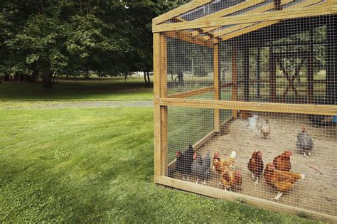 Looking For Ideas On How To Build Chicken Runs And Coops From Recycled Materials Here Are