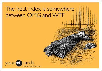 The Heat Index Is Somewhere Between Omg And Wtf Hot Weather Humor