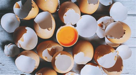 4 Sorprendentes Beneficios Que Brinda La “tela” Del Huevo