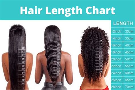 Hair Length Chart Everything You Need To Know