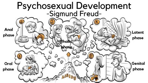Stages Of Psychosexual Development Sigmund Freud Youtube