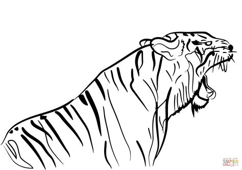 Tigre Kleurplaat Masken Maska Tygrysa Ausmalen Ausmalbild Supercoloring