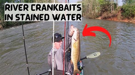 Smallmouth Bass This Was Unexpected Call YouTube