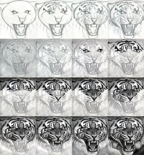 How To Draw A Realistic Tiger Honestly I Could Only Do The First Row