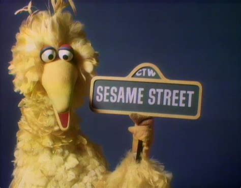 Big Bird Through The Years Muppet Wiki Fandom