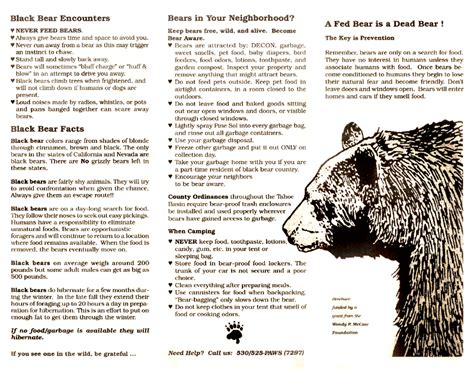 Bear League Information About Bears