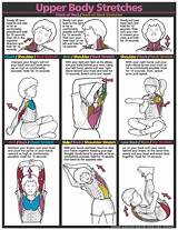 Pictures of Neck Stretching Exercises For Seniors