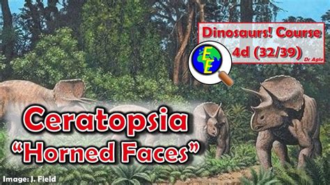 ceratopsia dinosaurs including triceratops 4d 32 39 youtube