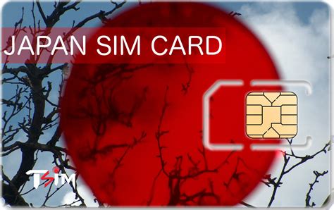 Dec 03, 2018 · a sim card is otherwise known as a subscriber identity module and is used in smartphones globally. Unlimited Japan SIM Card | TSIM's International Roaming SIM Cards