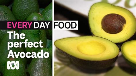 How To Pick The Perfect Avocado Everyday Food Abc Australia Youtube