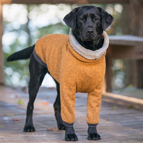 Fleece Dog Coat Best Dog Coats And Jackets 2020 Popsugar Pets Photo 2