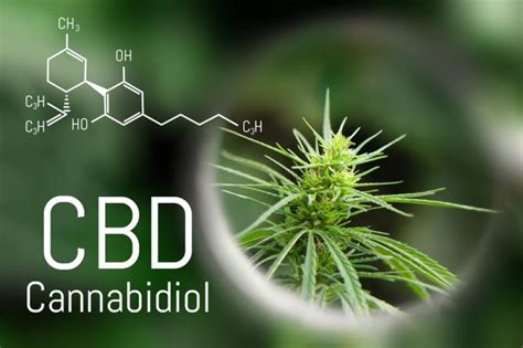 Competitive analysis helps you make your business unique. Cannabidiol Cbd Market SWOT analysis & Key Business Strategies