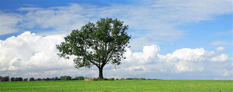 Check spelling or type a new query. Maîtriser votre impact sur l'environnement | CCI Tarn