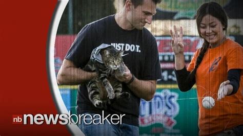 twitter reacts to tara the hero cat throwing first pitch at baseball game video dailymotion