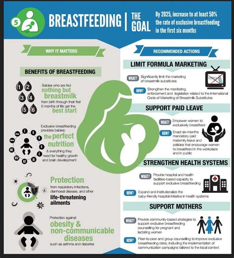 Nutrition Breastfeeding Essential Nutrients Healthy