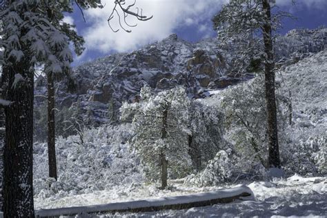 Snow Covered Red Rock In Sedona Arizona Usa Stock Image Image Of