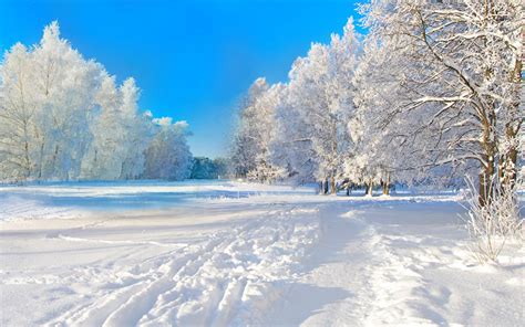 Pretty White Winter Wallpapers Wallpaper Cave