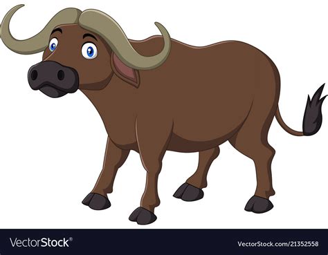 cartoon buffalo isolated on white background vector image
