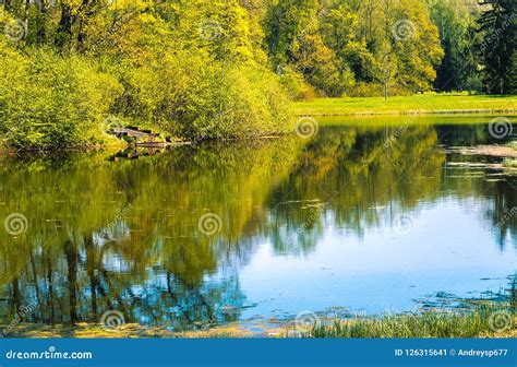 View Of The Forest Lake On A Sunny Autumn Day Stock Image Image Of
