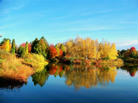 Fall Trees Reflected In Water Smithsonian Photo Contest Smithsonian