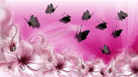 Pink Butterfly Wallpaper Desktop Wallpapersafari