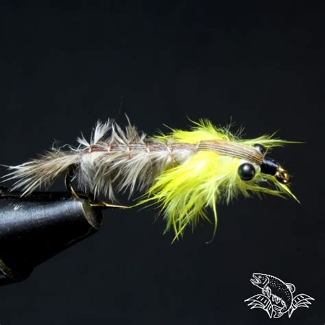 13 Favorite Flies For Catching Brown Trout Guide Recommended