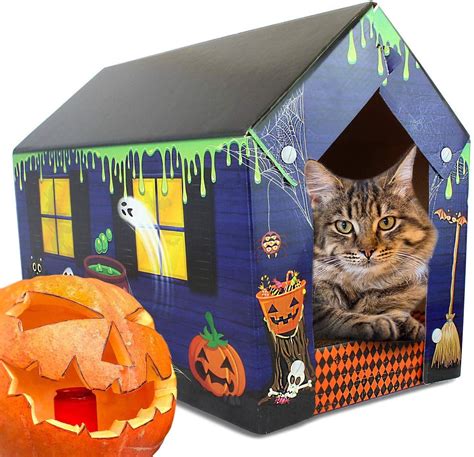 Acc Winter Cat House And Cat Scratcher W Bonus Catnip Included