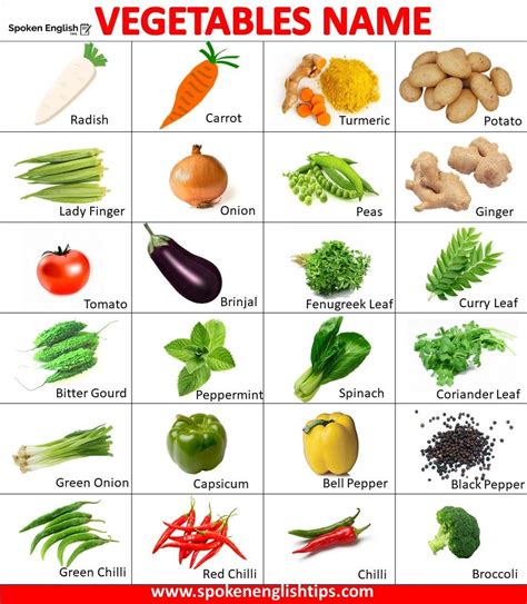 Vegetables Name 100 List Of Vegetable Name In English With Picture