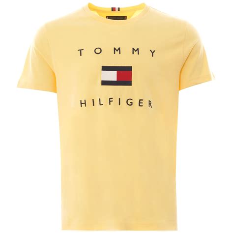 Sender amount $25 $50 $75 $100 $200 $500 presentation. Tommy Hilfiger Flag Logo T-shirt | Sun Ray | 14313-ZFB