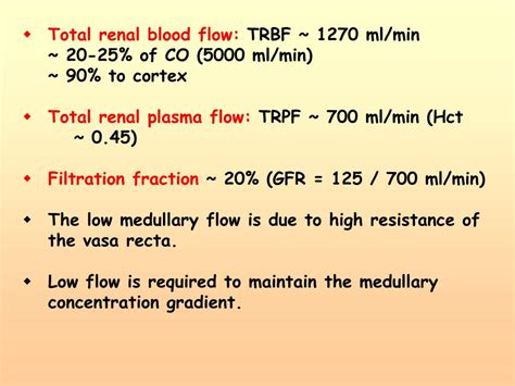 Ppt Renal Blood Flow Powerpoint Presentation Free Download Id3360901