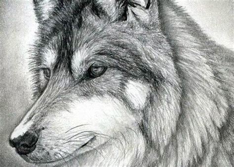 Hier lernst du einen schönen baum schnell und einfach zu zeichnen. Wolf zeichnen — Bleistiftzeichnen-dekoking.com-2 ...