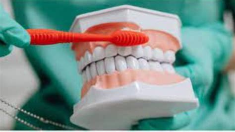 5 Things Regarding Dental Care That Dentists Wish You Knew Successyeti