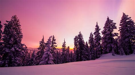 Download Wallpaper 3840x2160 Trees Forest Snow Winter Sunrise Sky