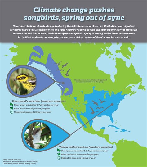 Migratory Birds Bumped Off Schedule As Climate Change Shifts Spring
